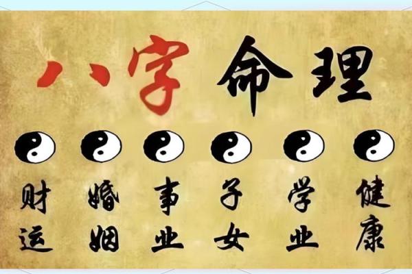 适合从政的八字特点