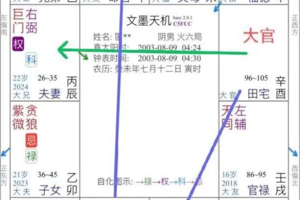 紫薇斗数看财运格局