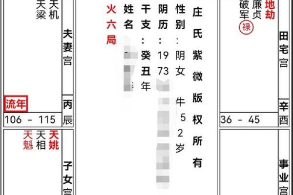 紫薇斗数看财运格局