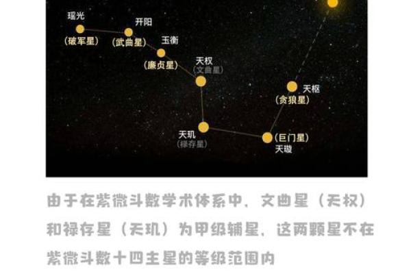 紫薇斗数主星长相