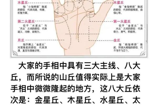 手相算命图解，手相图解大全