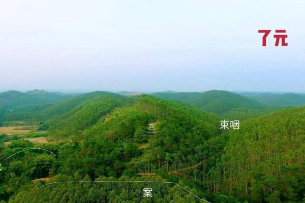 真龙正穴之风水宝地的大小问题