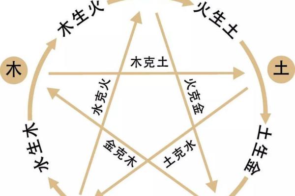 八字五行代表