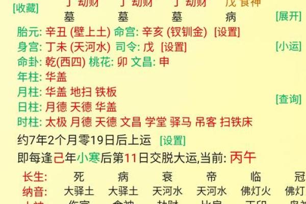 全阳八字女