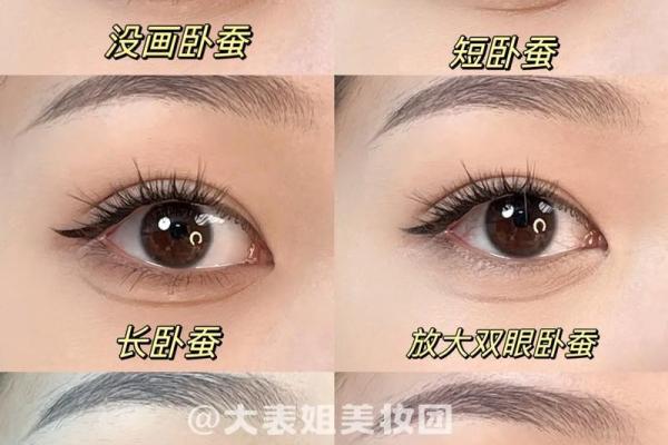 卧蚕眉面相算命图解