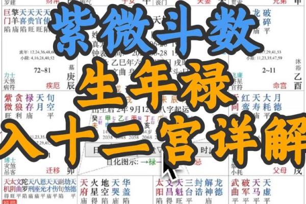 紫薇斗数生年干支