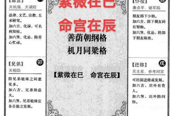 紫薇豆斗数软件