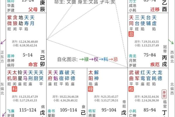 否极泰来紫薇斗数