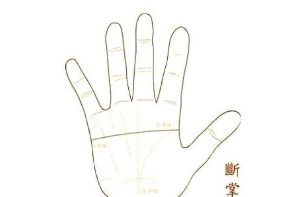 生辰八字断掌