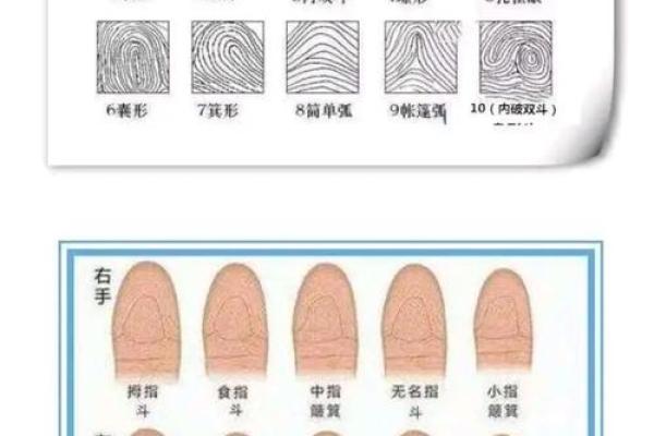 农村老人常说，手上簸箕和斗的数量能决定人的运！是真的吗？