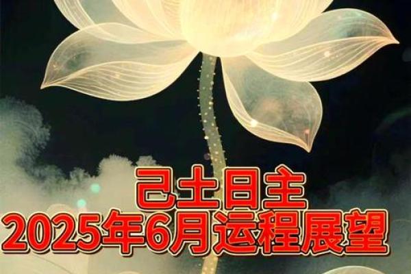 八字算命：己土日元的人怎么样