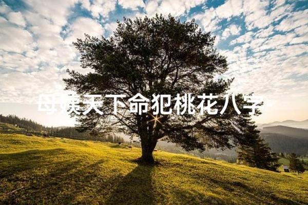 犯桃花风水布局禁忌，你知道哪些？