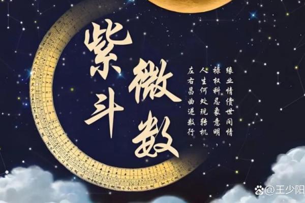 紫微斗数看旅行运 紫薇斗数行运？