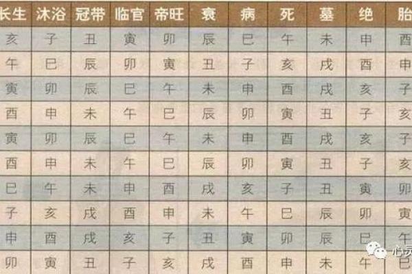 八字：身弱富贵惊人是什么意思