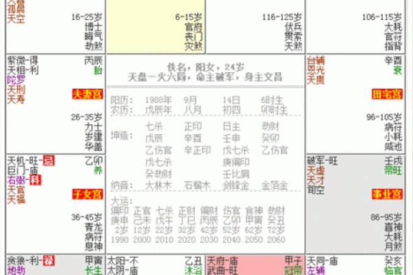 紫薇斗数明盘