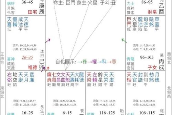 紫薇斗数讨论