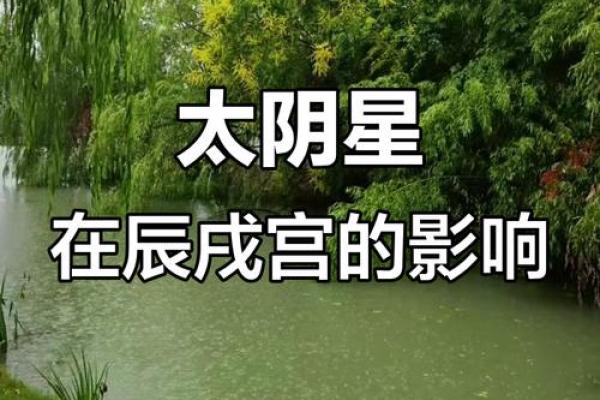 紫薇斗数看出国运