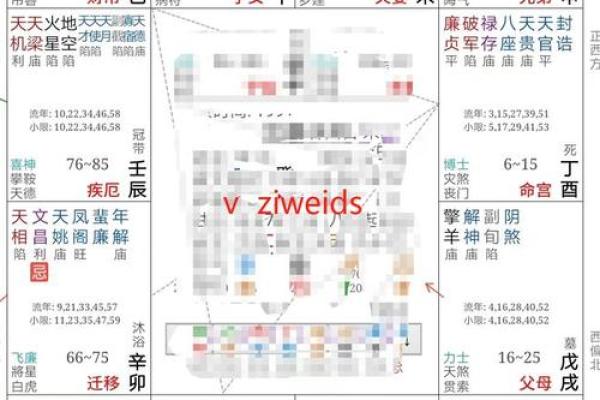 紫薇斗数变景