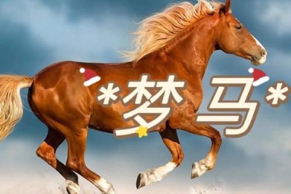 二分之一缘分测试智商游戏