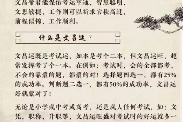 八字测考试运