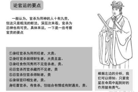 适合从政的八字特点