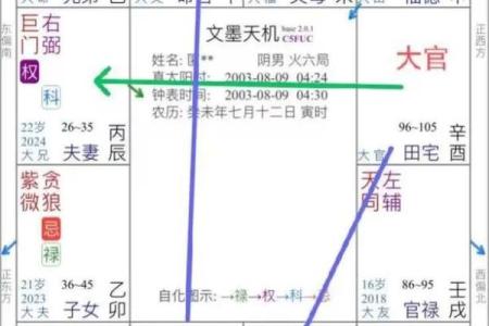 紫薇斗数看财运格局