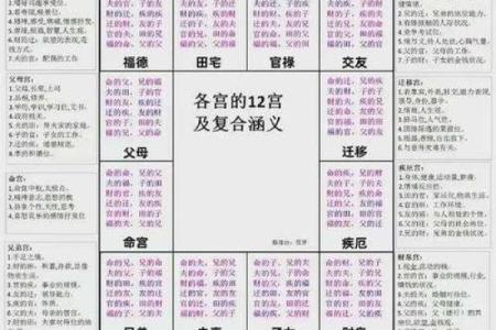 陌元紫薇斗数