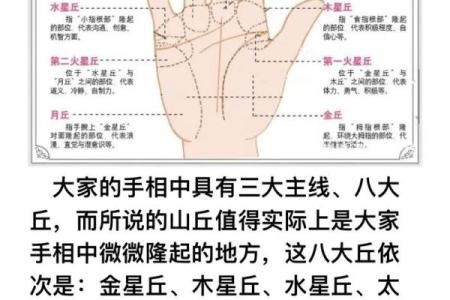 手相算命图解，手相图解大全