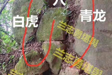 真龙正穴之风水宝地的大小问题