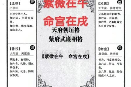 紫薇斗数怎么看命宫6