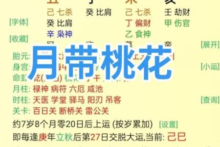 八字有咸池代表是什么？