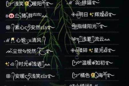 免费查询名字打分测试