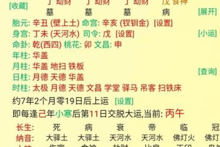 全阳八字女
