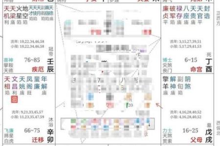 紫薇斗数对冲忌