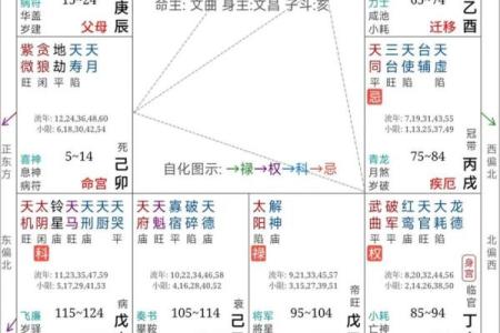 否极泰来紫薇斗数