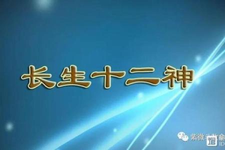 长寿的紫薇斗数