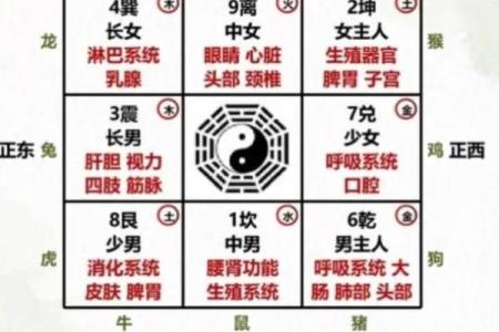 房子挂网上风水