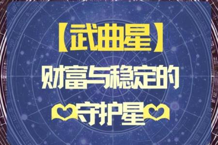 紫薇斗数大限武曲