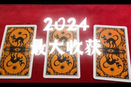 塔罗测试：今年你最大的收获是什么？