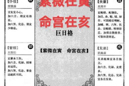 紫薇斗数看寿数