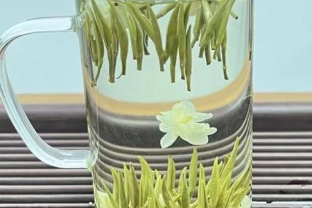 风水绿茶泡多久最佳多长时间最佳