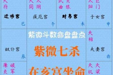张三星紫微斗数 张三星政委？