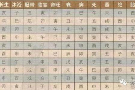 八字：身弱富贵惊人是什么意思