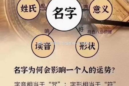 查八字起名