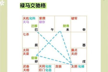 紫薇斗数运势曲线图