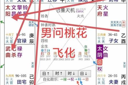 紫薇斗数看玄学体质