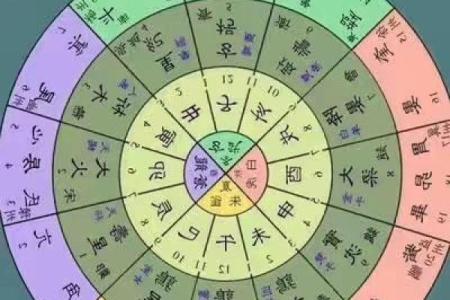 龙德紫薇斗数