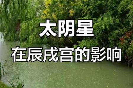 紫薇斗数看出国运