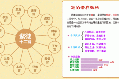 紫薇斗数反推生辰
