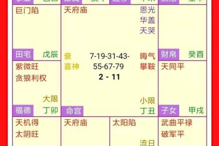 飞廉紫薇斗数流年